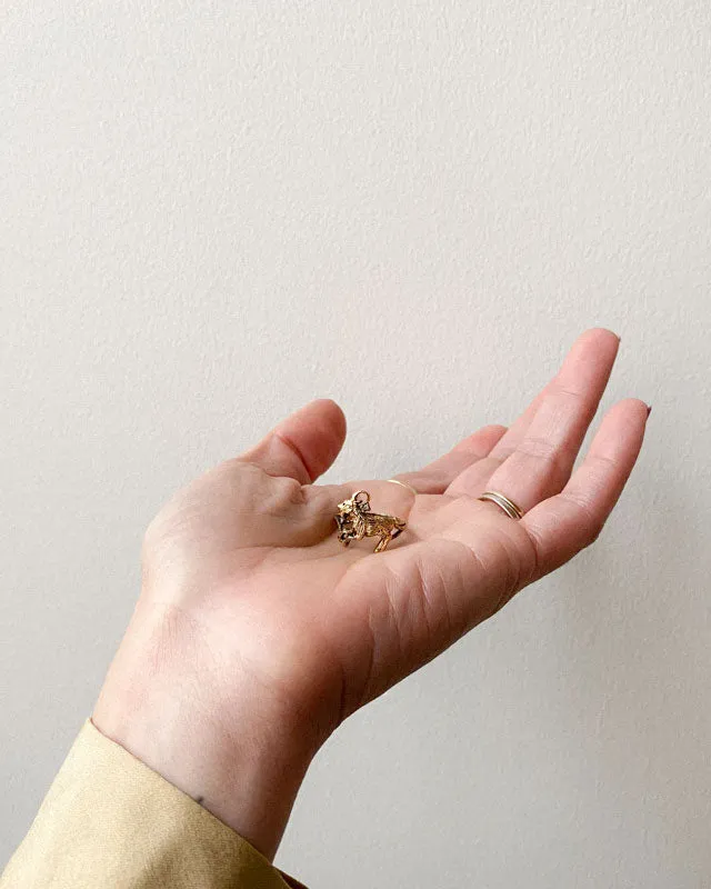 Capricorn Ring