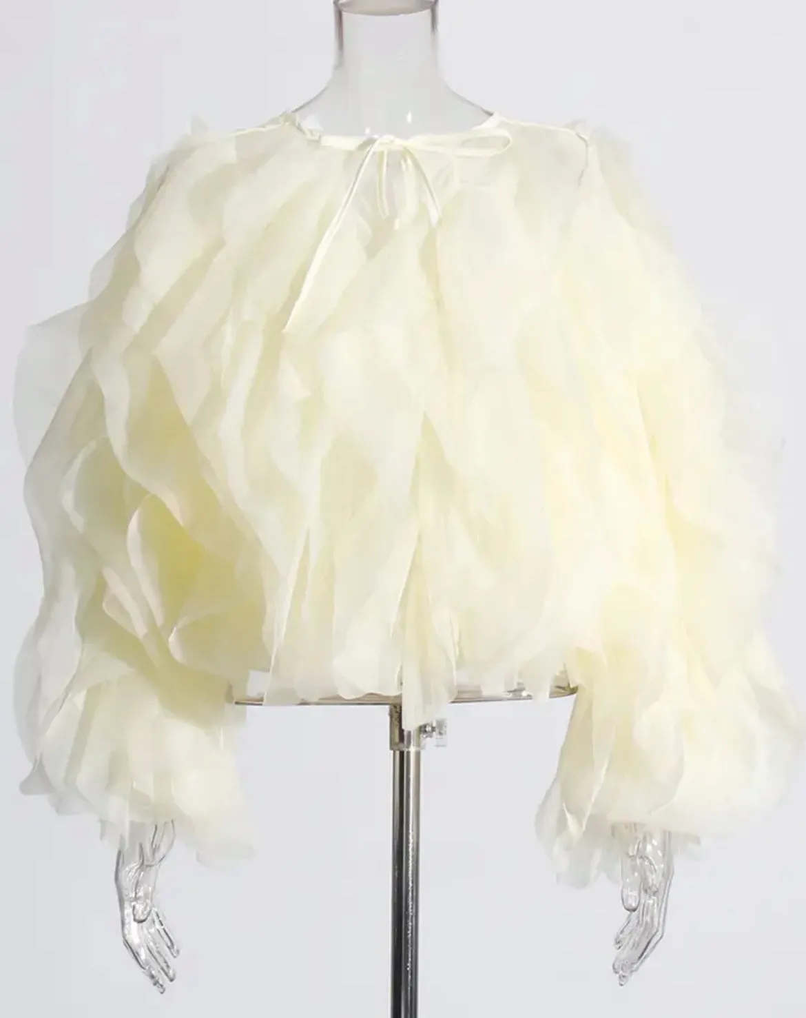 Ruffled Mesh Blouse