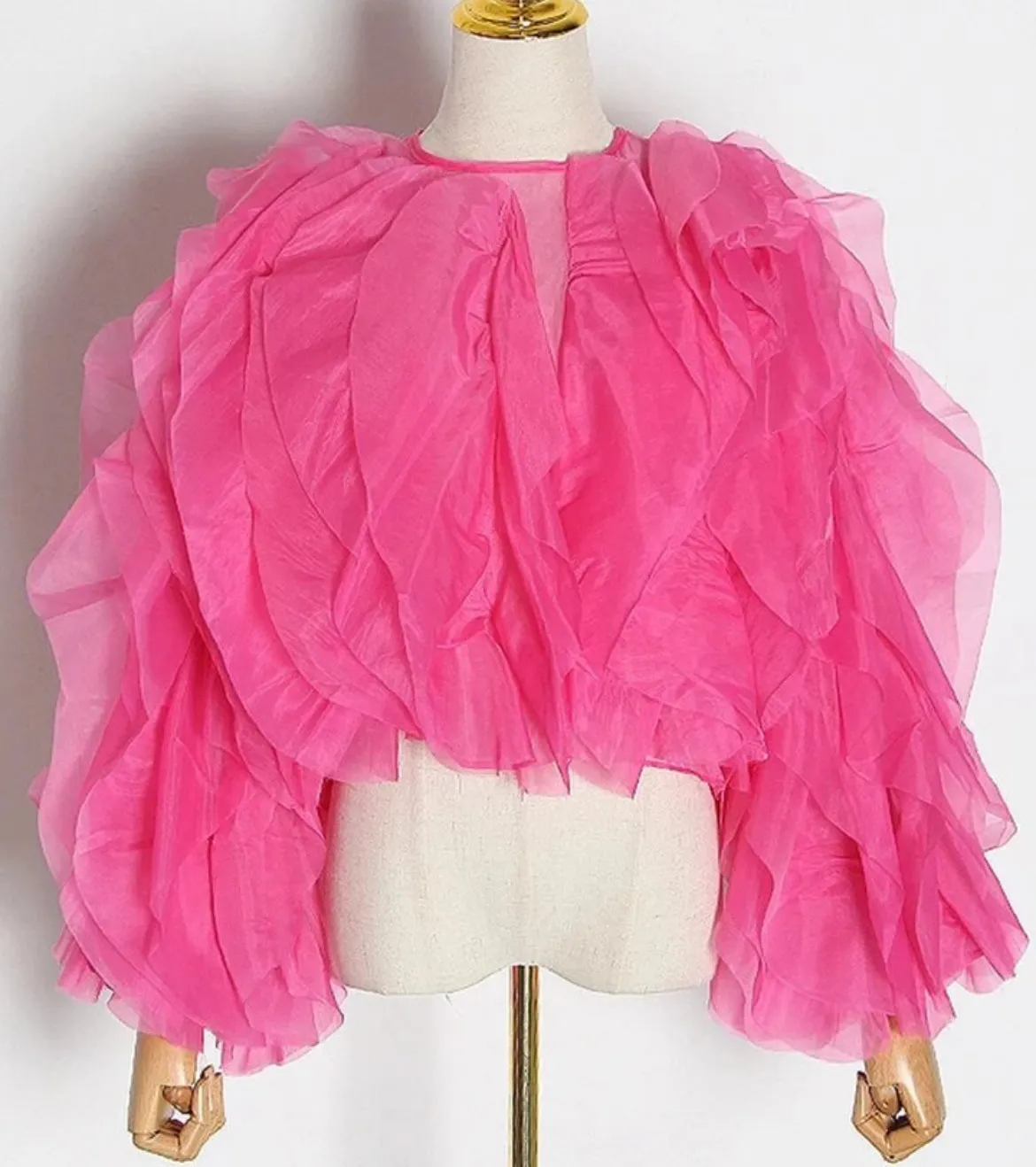 Ruffled Mesh Blouse